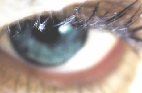 Still from Bianca Wickinghoffs Video Seele Still from Bianca Wickinghoffs Video Seele