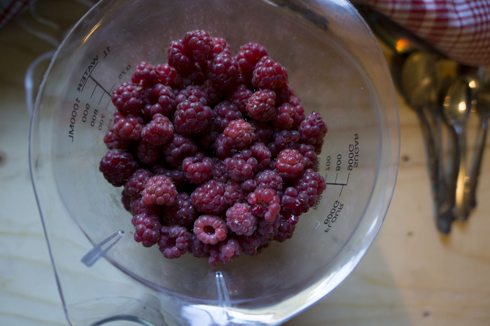 raspberries in a bowl