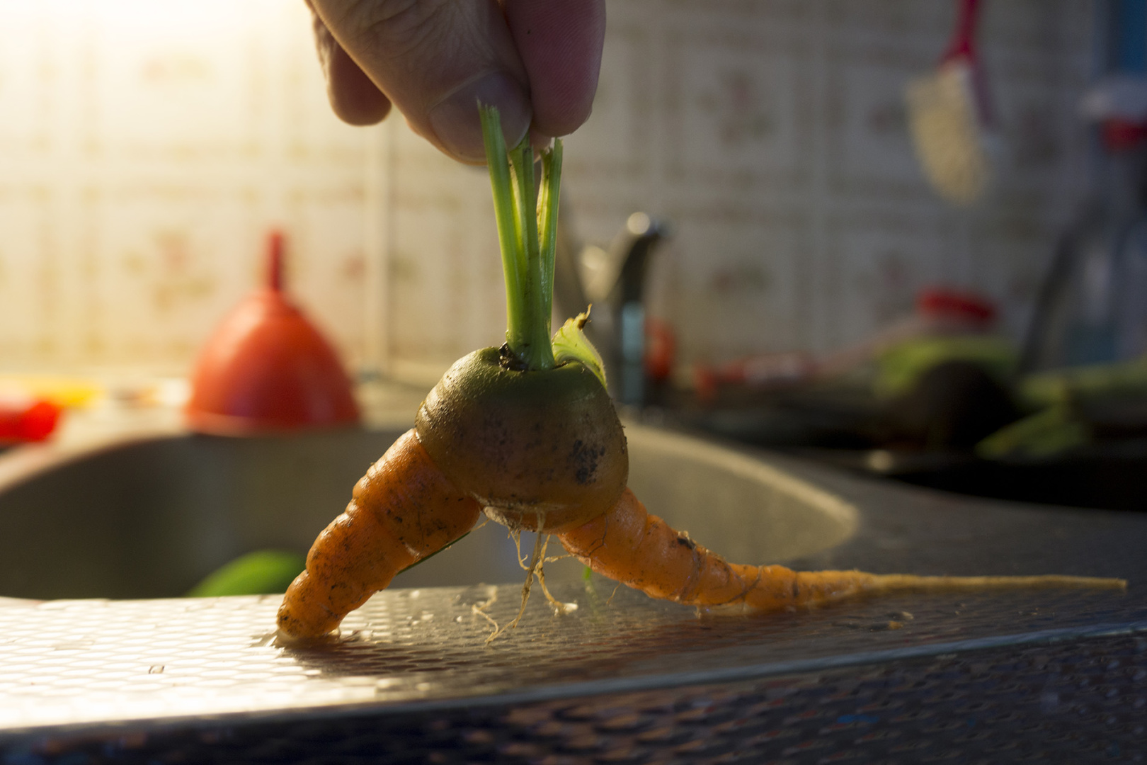 A walking carrot