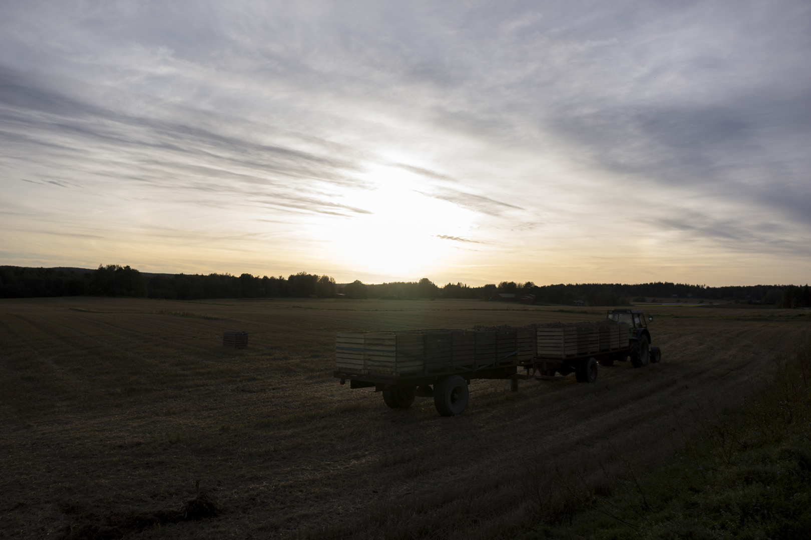 A field with a tractor during sunset in the near of Päkläne