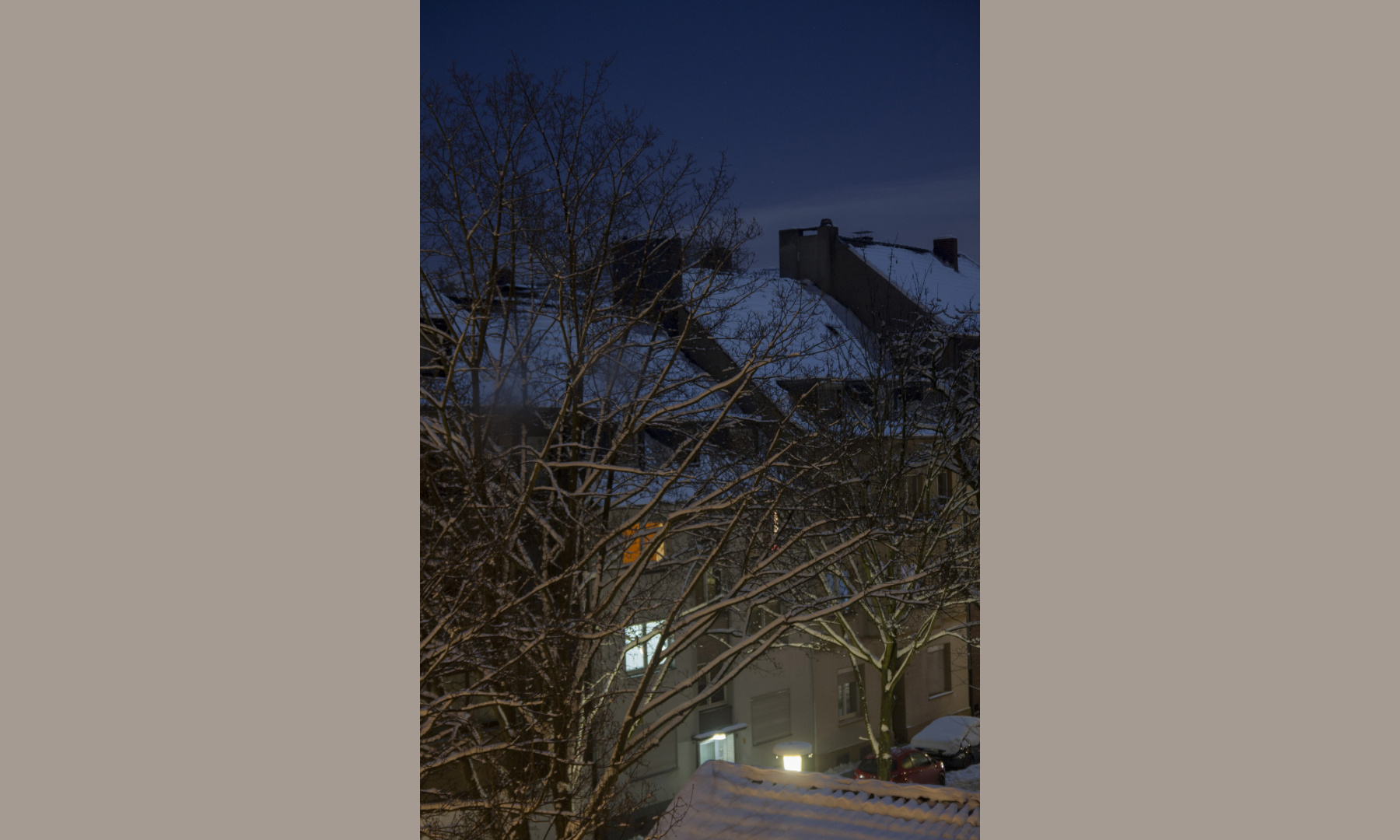 Winter roofs in Essen Südviertel