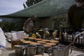 Different soils and its clay content during the testing process