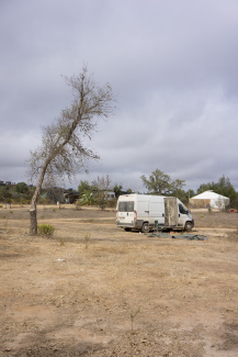 A small transporter besides a tree at an ecovillage A small transporter besides a tree at an ecovillage