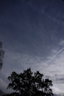 Lines in the sky by planes