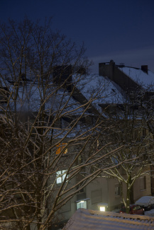 Winter roofs in Essen Südviertel