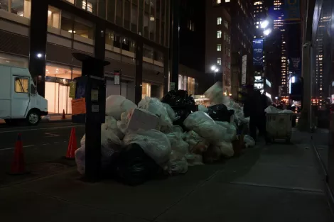 The waste of New York city