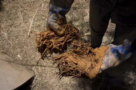 Comparison of different soil and its clay content