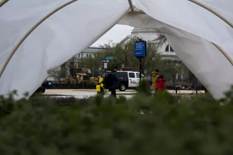 A show case greenhouse in Washington DC, USA