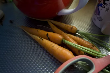 Carrots, a tea pot and a scissor