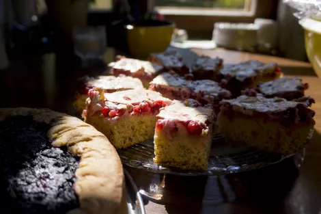 2 different cakes on a table with sunlight coming from a window