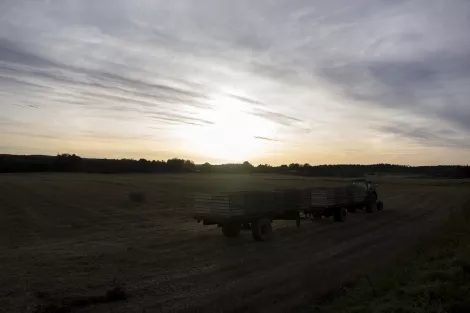 A field with a tractor during sunset in the near of Päkläne