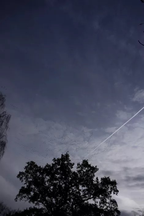 Lines in the sky by planes