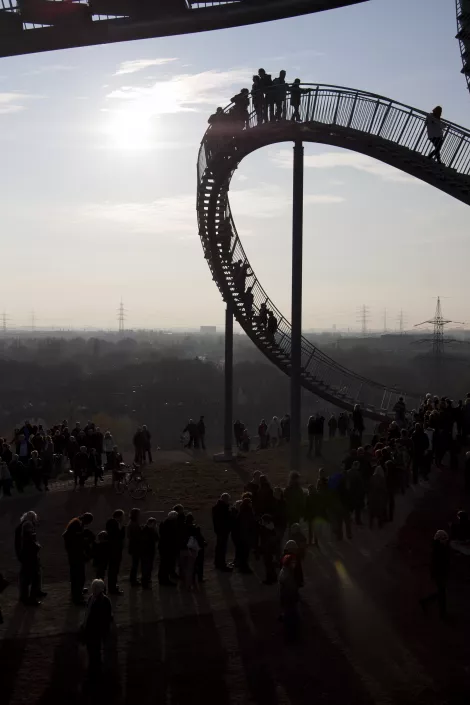 A view from Tiger and Turtle