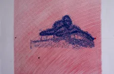 A tiger and so not a turtle - contemporary modern artwork A tiger and so not a turtle - contemporary modern artwork